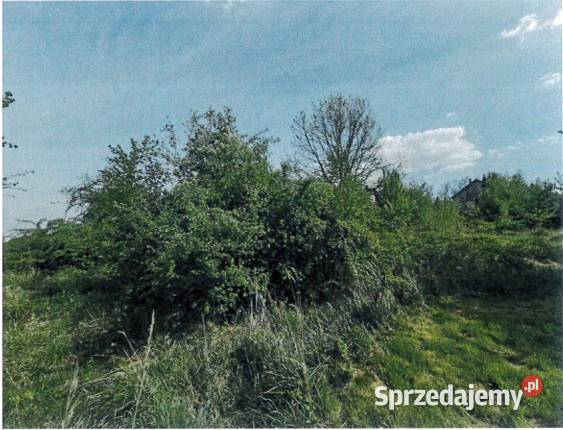 Działka niezabudowana w Sance gmina Krzeszowice rolna Nieruchomości Sanka sprzedam