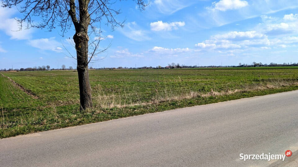 Grunt 449 ha z koncepcją 5 domów Jenin