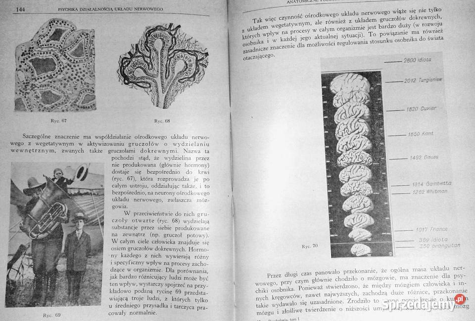 Psychologia Tom 1 Włodzimierz Szewczuk Chełm