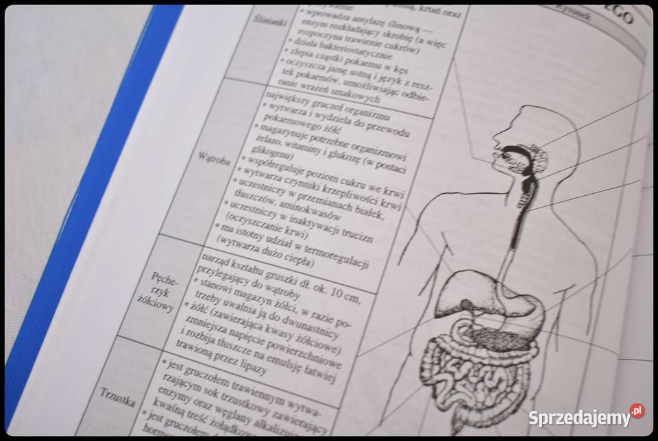 Małe tablice biologiczne wyd Adamantan 2004 Książki naukowe i popularnonaukowe Płock