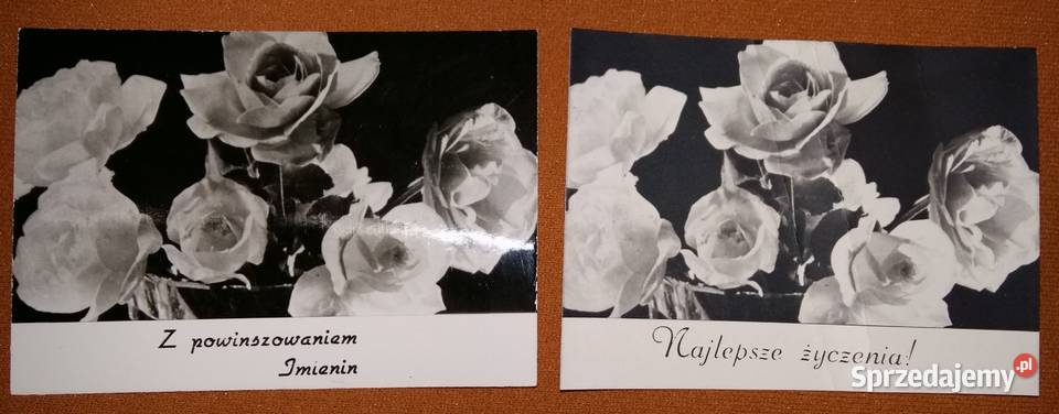 Pocztówka czarnobiała fotJWendołowskiDwie małe i łódzkie Łódź