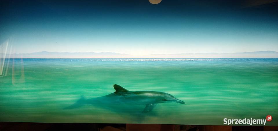 Obraz retro z dźwiękiem świecący 8widoków palmy Sztuka współczesna Legionowo