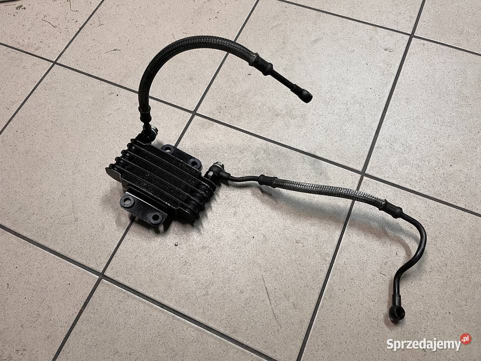 Chodnica oleju Hyosung GA 125 Cruise Brzeszcze