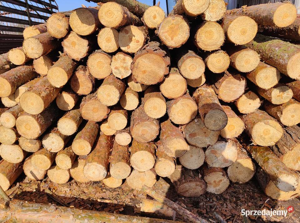 Stemple budowlane kołki do ogrodzeń tymczasowych