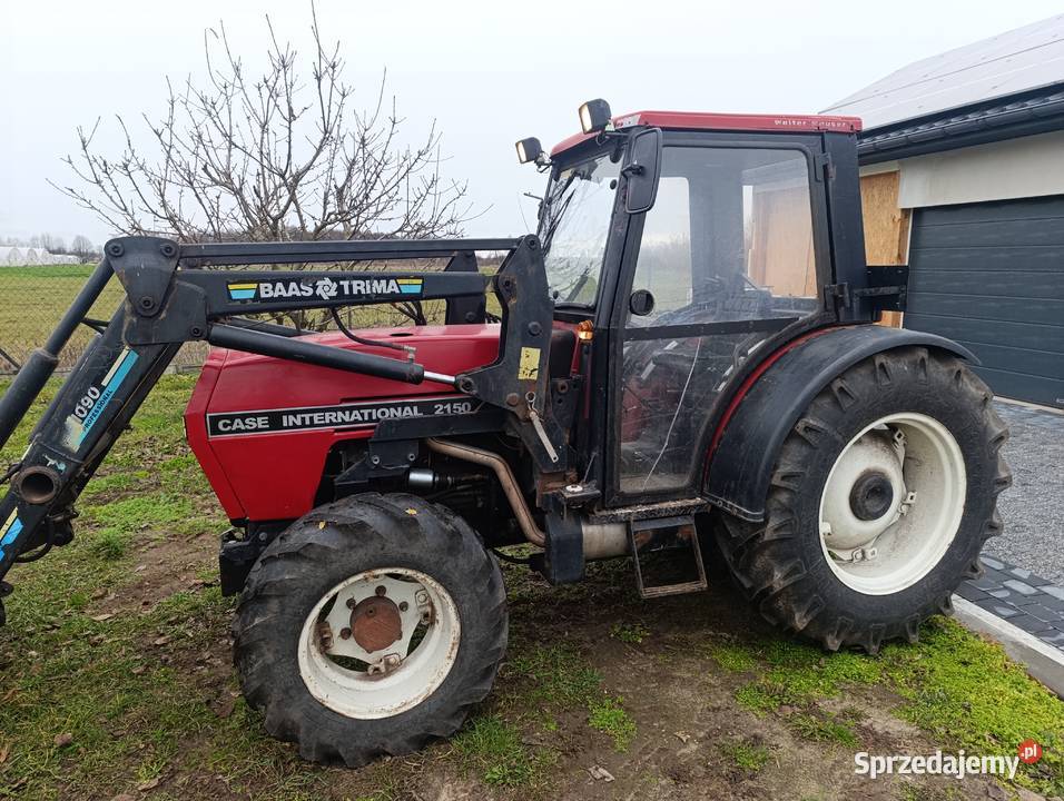 Caiagni sadowniczy Potkanna