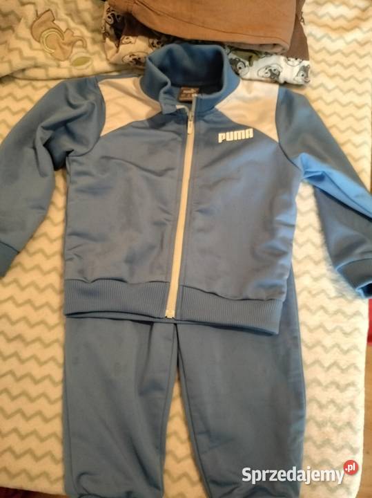 Des puma Dresy Świdnica