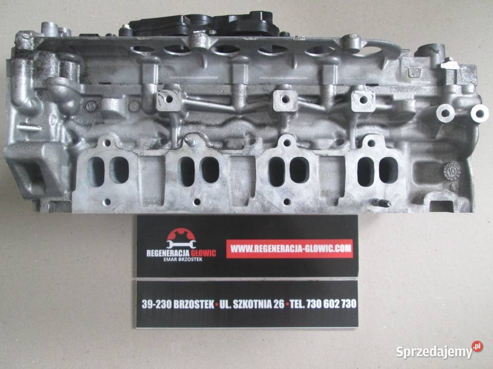 GŁOWICA Renault Master 20 DCI 8200808824 Opel podkarpackie Brzostek
