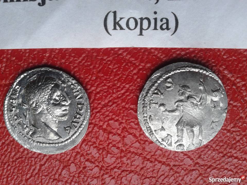 Moneta Denar Srebrny Severus Alexander 221235 Skierbieszów