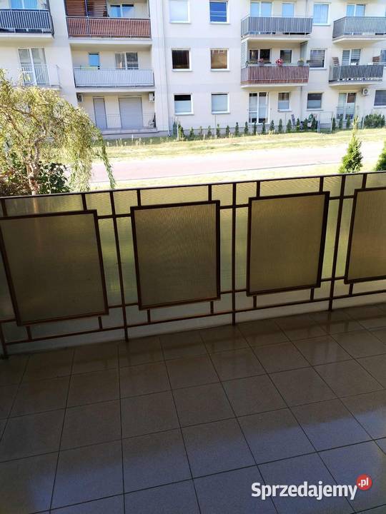 Wynajmę BIAŁA PODLASKA ŻEROMSKIEGO Liczba pokoi 2 Biała Podlaska