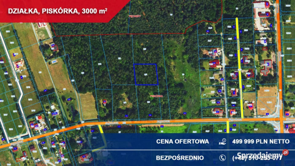 Działka budowlana 3000 m LESIE Piskórka gm