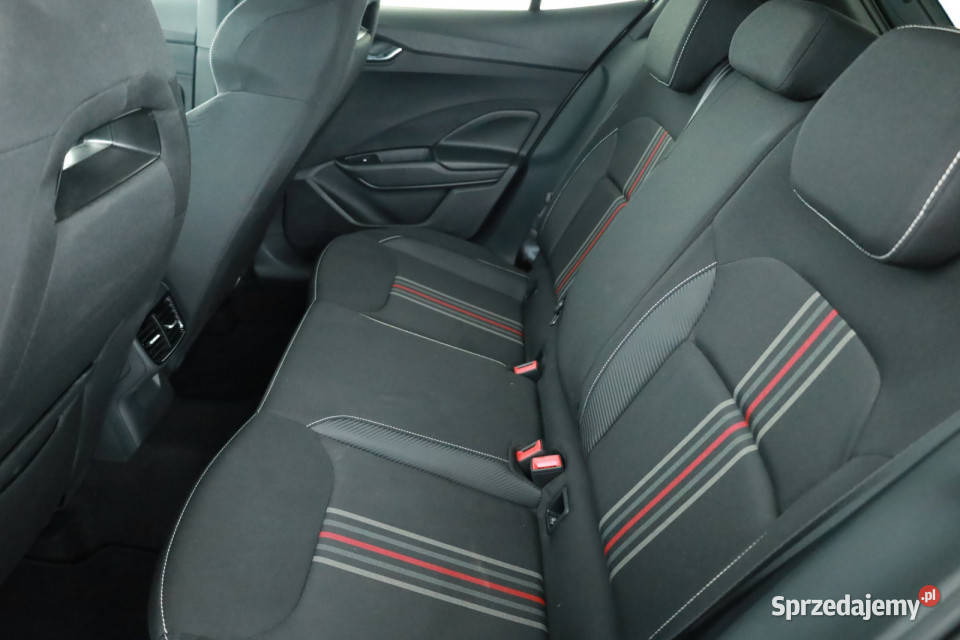 Skoda Fabia 10 TSI szary Piaseczno