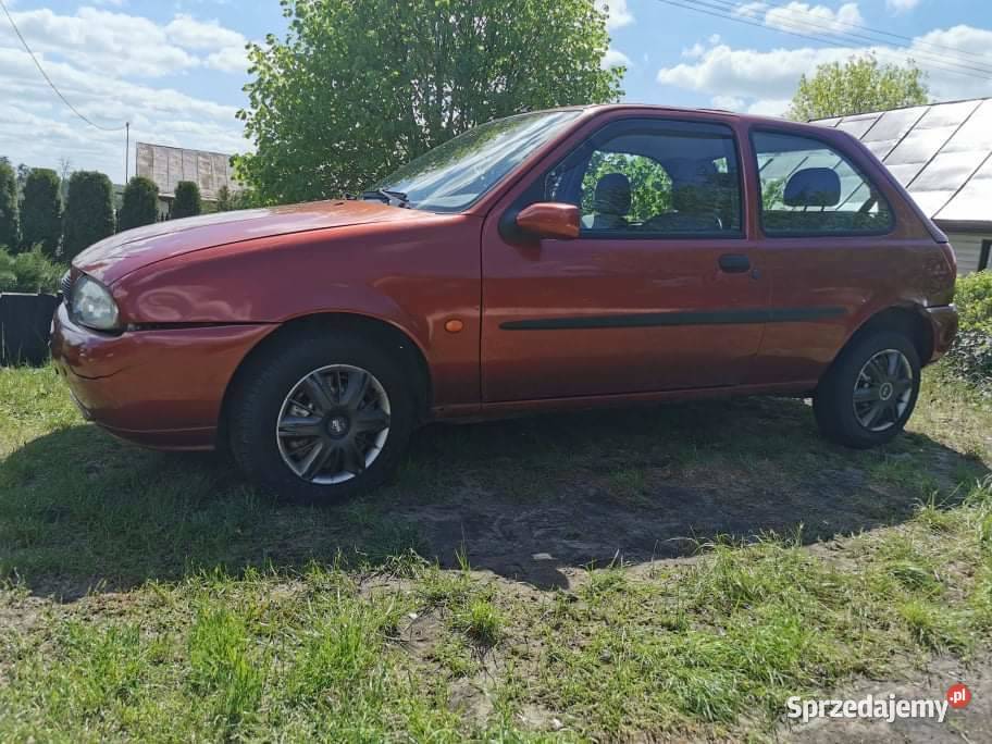 Zgrabny Fordzik kobiety Samochody osobowe Rejowiec