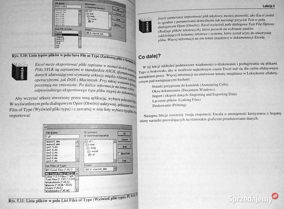 EXCEL 4 Windows Szybki start Stephen L Nelson Chełm