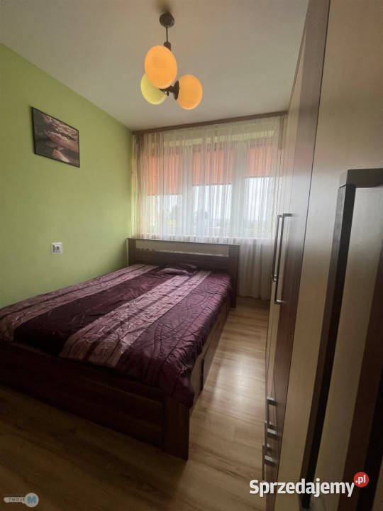 Ogłoszenie mieszkanie BuskoZdrój 4713m2 Busko-Zdrój