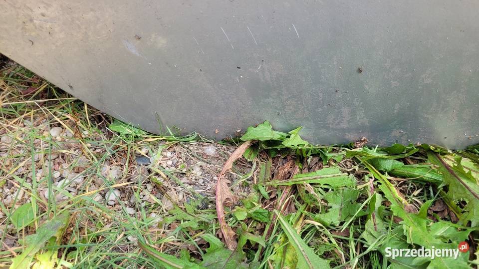 Drzwi Skoda Fabia I osobowe