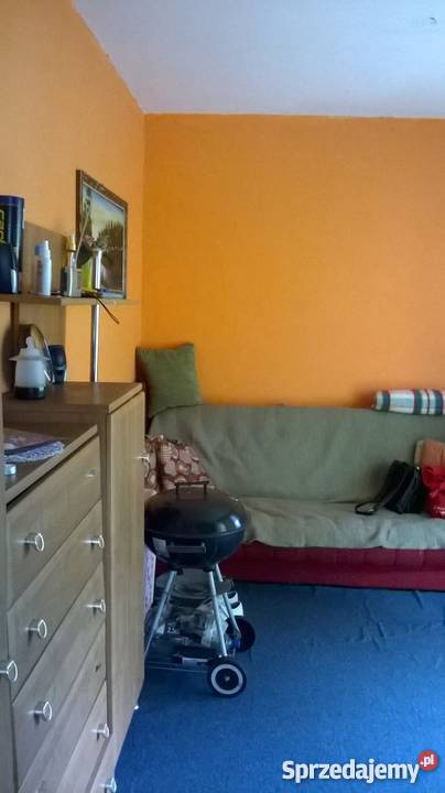 Ogródek Działkowy w MysłowiceLarysz na sprzedaż Mysłowice