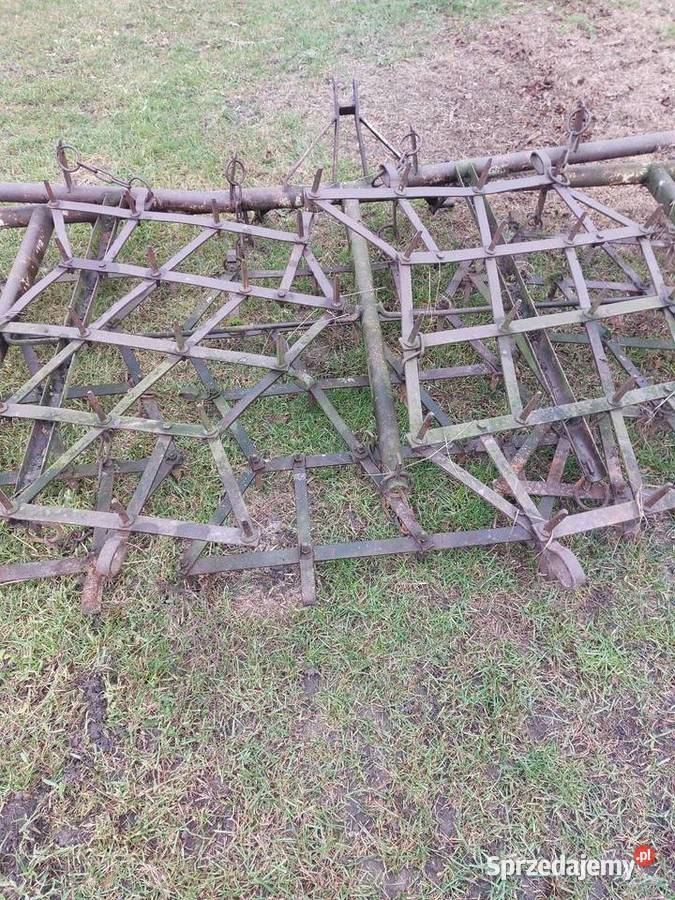 Brony polowe 5 piątki mazowieckie Łosice