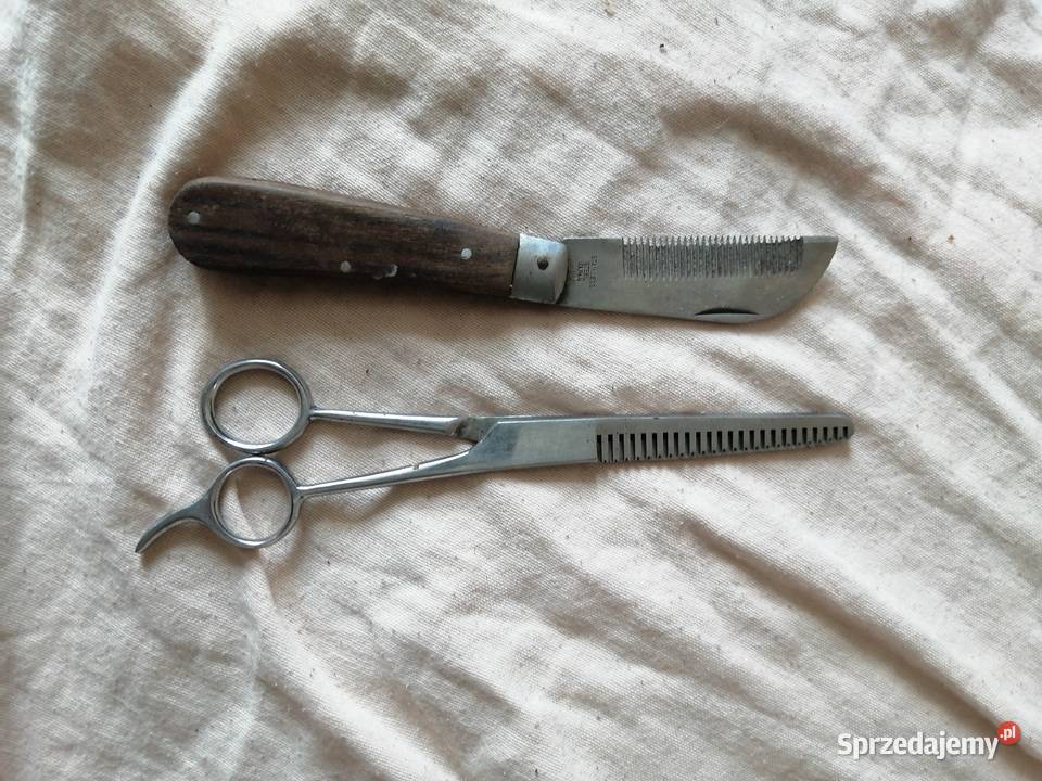 nożyczki degażówki konia Legnica