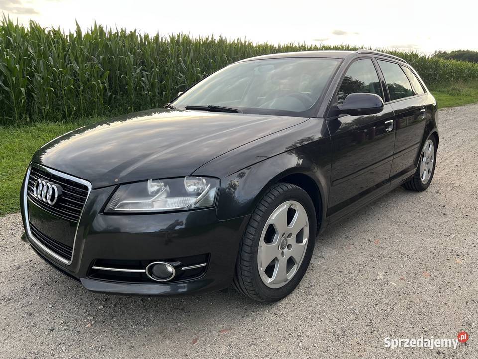Audi A3 Sportback lift 2010 16 MPI benzyna VAT marża A3 Obłotne sprzedam