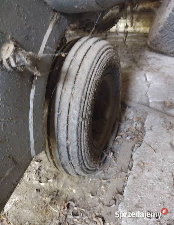 Kopaczka Rolnictwo mazowieckie Kampinos