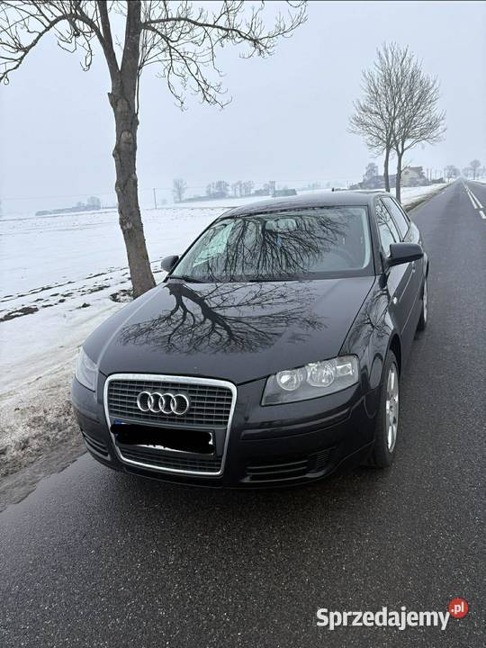 AUDI A3 8P 2008 r Ciechanów