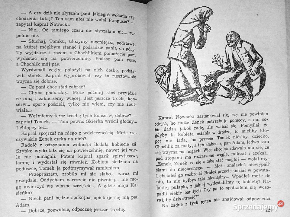 Chłopcy ze Starówki Halina Rudnicka