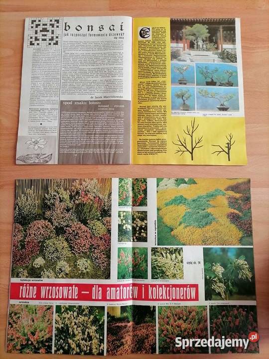 Kwiaty Czasopismo Kwartalnik 1989 PRL sprzedam