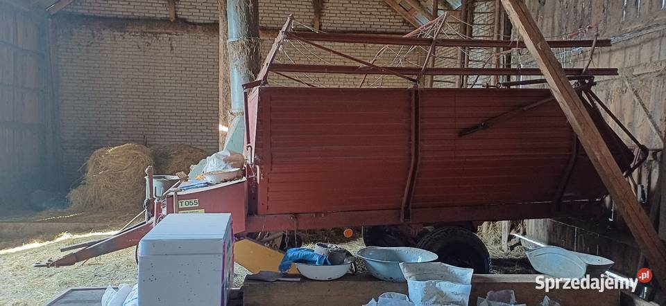 Zbierajaca z Kunowa T055 stan