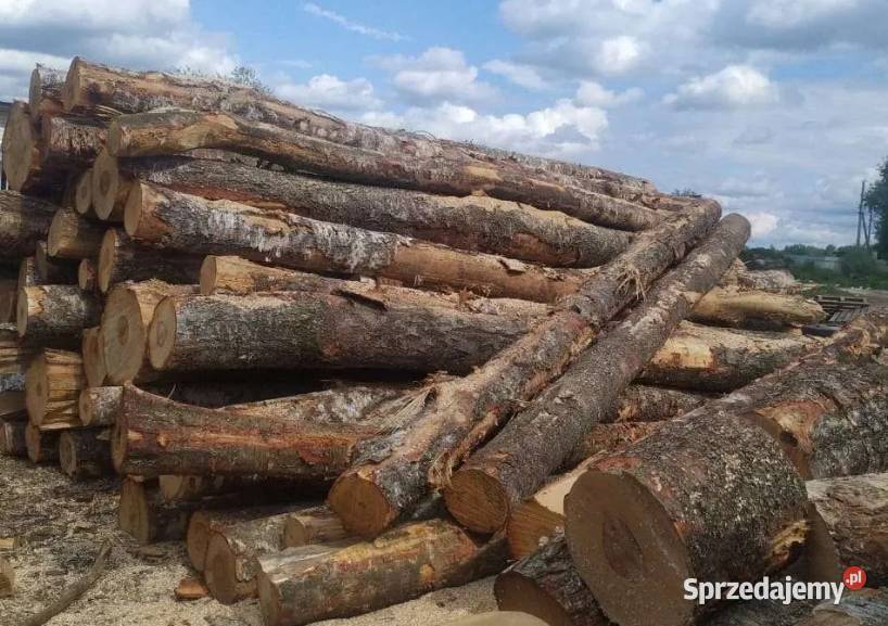 Tanie drewno opałowe Liściasteiglaste Myszków i