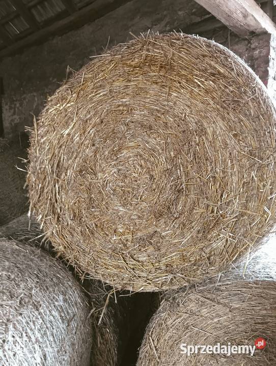 Słoma baloty wywóz obornika siano owies Opole