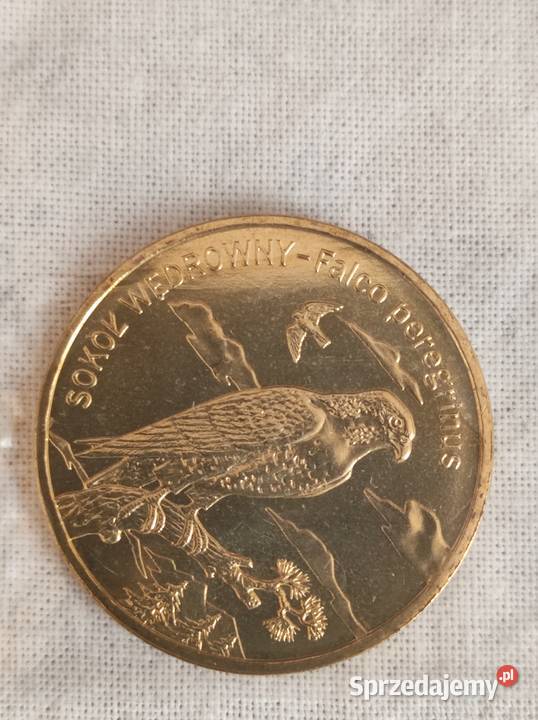 Moneta 2 złote sokół wędrowny dolnośląskie Wrocław