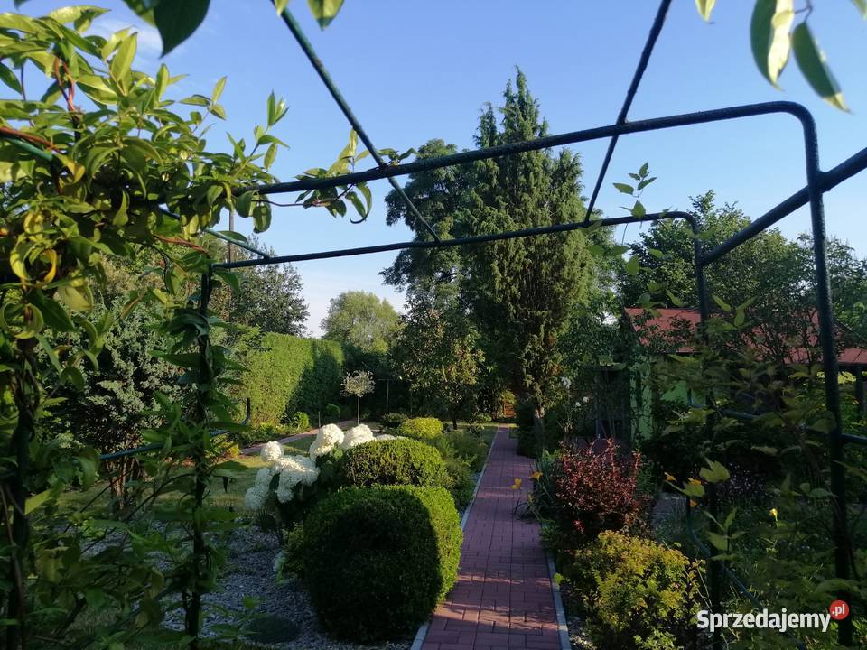 Sprzedam ogródek działkowy Sosnowiec