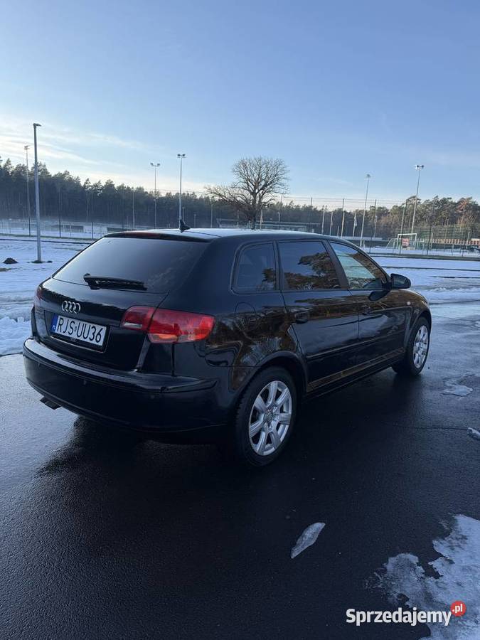 Audi A3 8P 19 TDI 105 2007r bluetooth Jasło