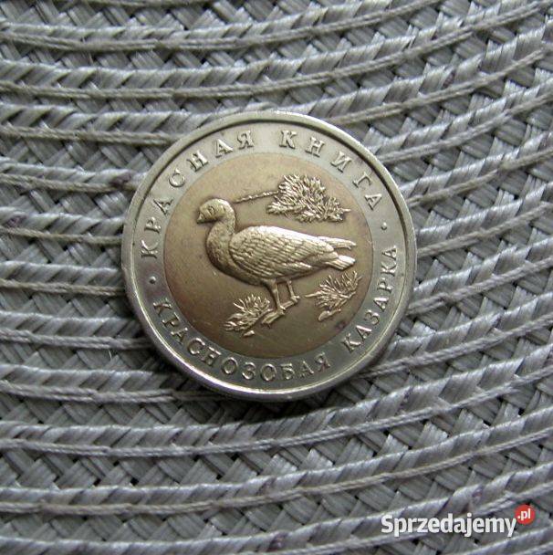 Rosja 10 Rubli 1992r Bernikla Rdzawoszyja Kalisz