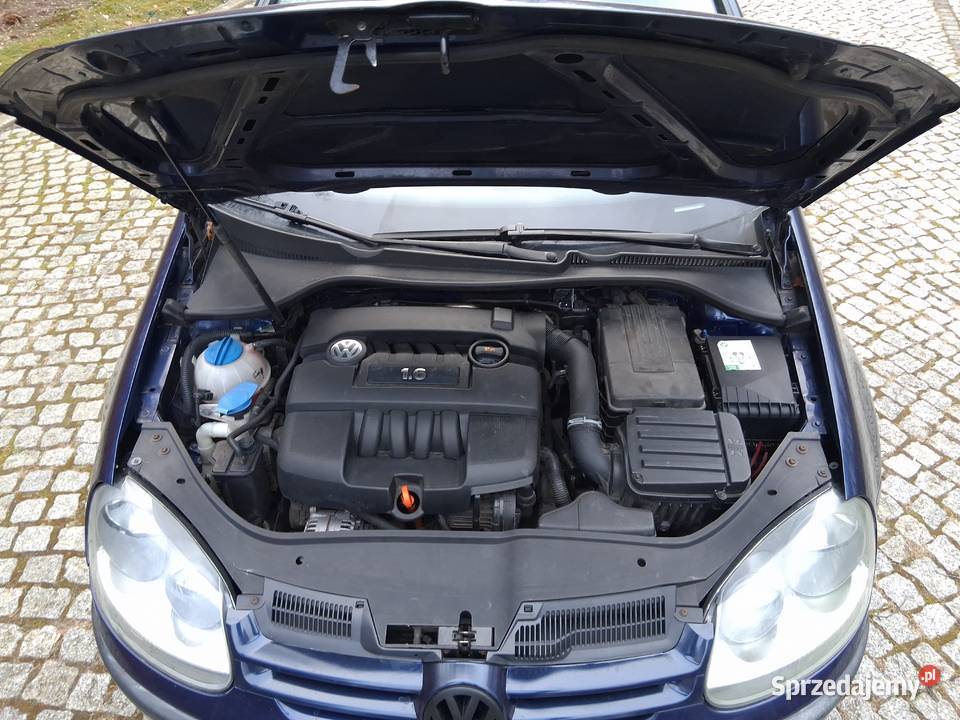 VW Golf V 16mpi 102 5 drzwi 220000 zdrowy 100