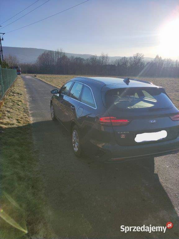 Kia Ceed Kombi z polskiego salonu światła przeciwmgielne Rębiszów
