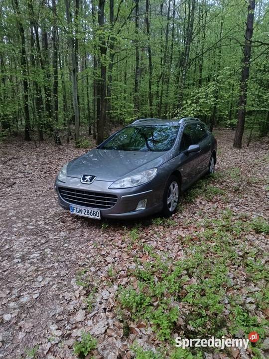 Sprzedam Peugeot 407SW Dębno