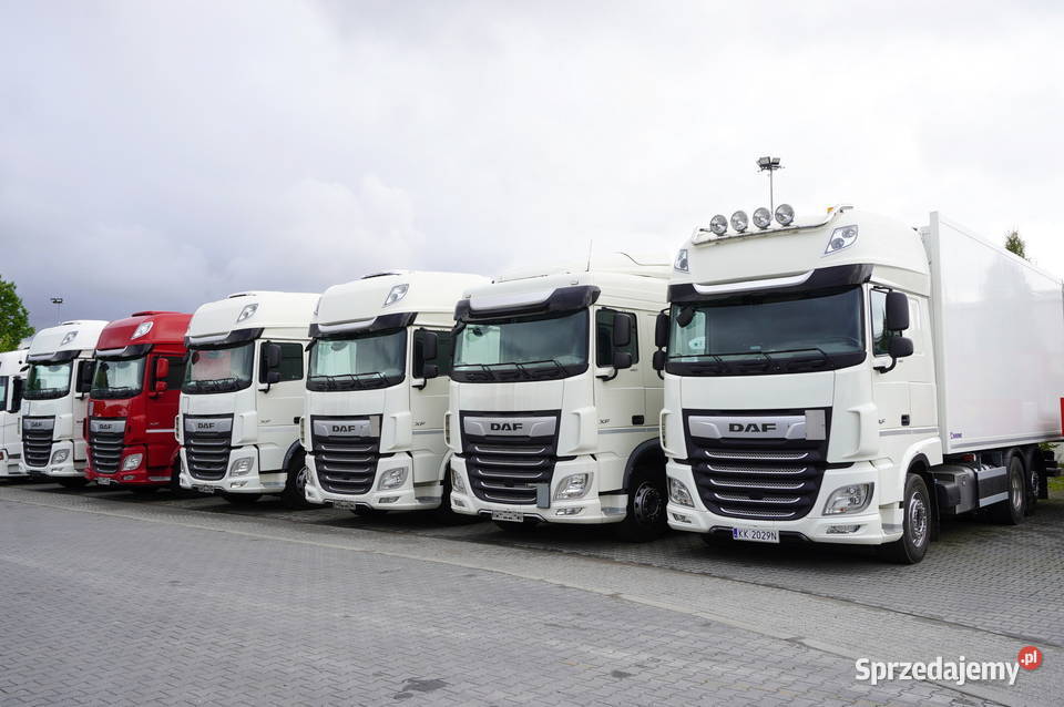 DAF XF 480 E6 6x2 Chłodnia 18 palet 6 Chłodnie