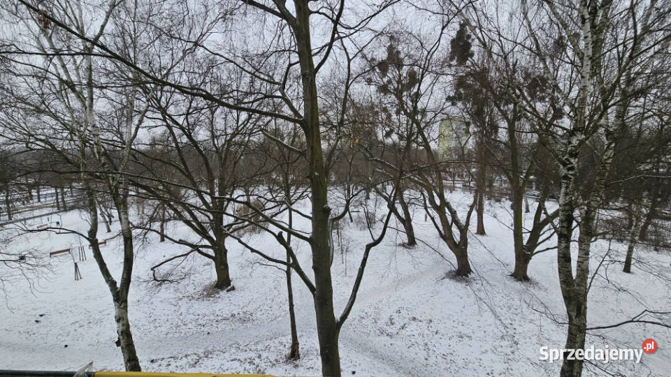 Kawalerka 37 m z widokiem na park w cichym bloku 6702zł/m2 Sprzedaż łódzkie Łódź