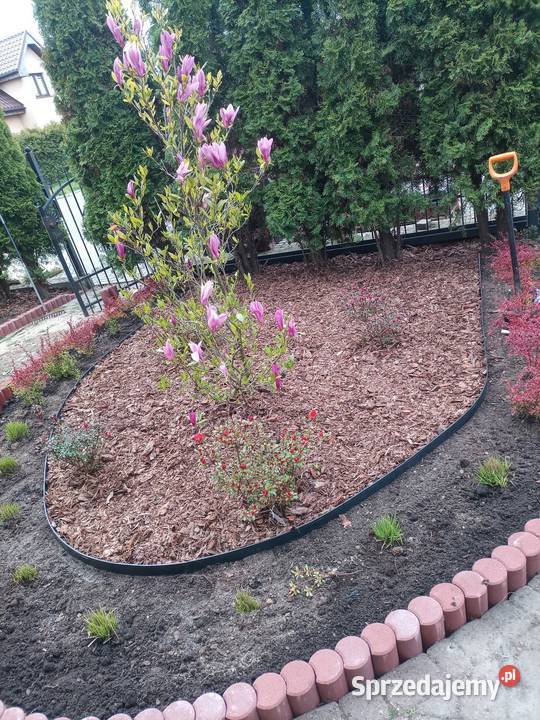 Usługi ogrodnicze Lębork prace ogrodowe