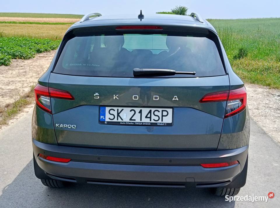 Krajowy nowy rozrząd bezwypadkowy właściciel elektryczne lusterka Przeginia