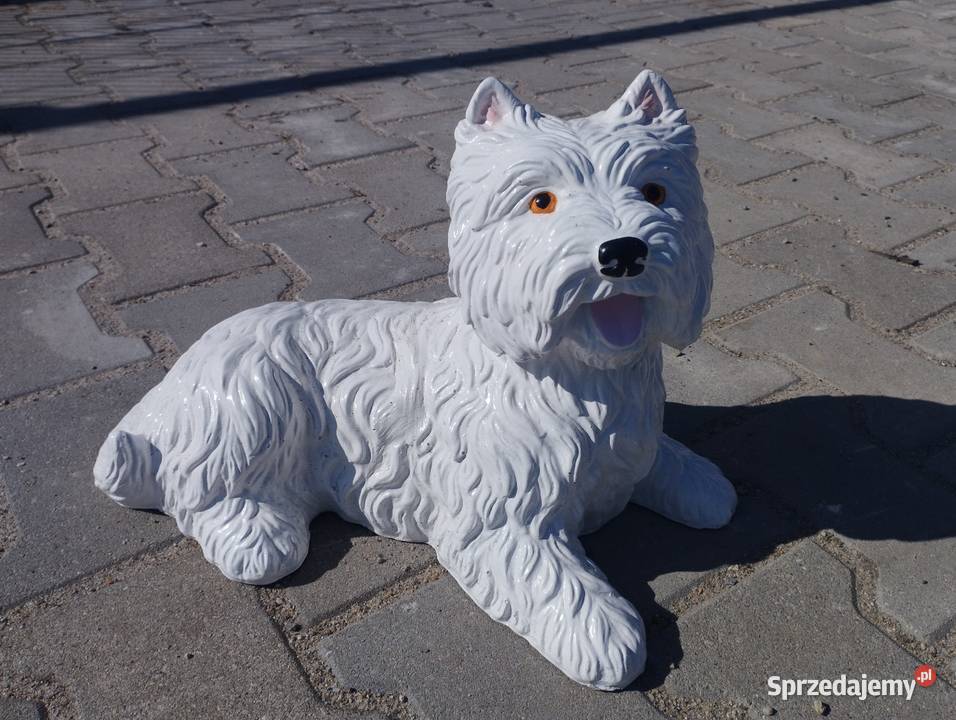 Figurka ogrodowa psa rasy West Highland White Rzeźby i figury Szamotuły sprzedam