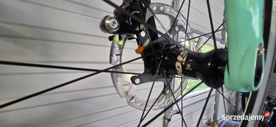 Bianchi aria eroad rozmiar 50