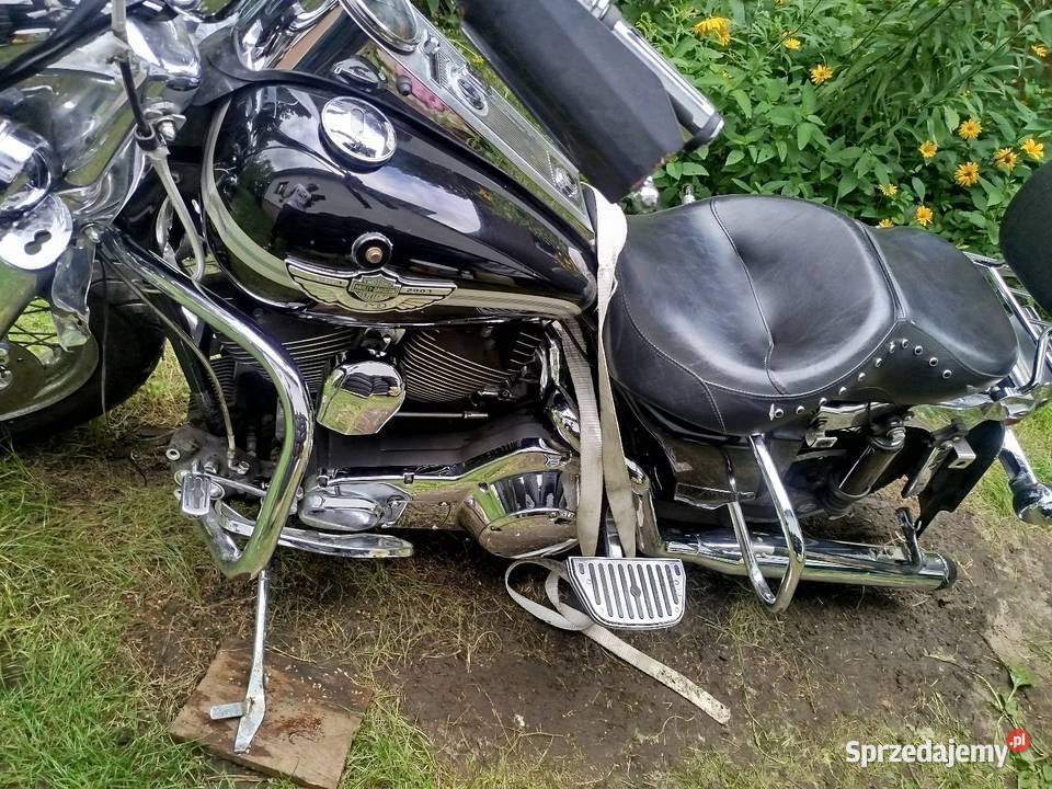 Harley Davidson 14503 Limitowany metalic Gniewkowo