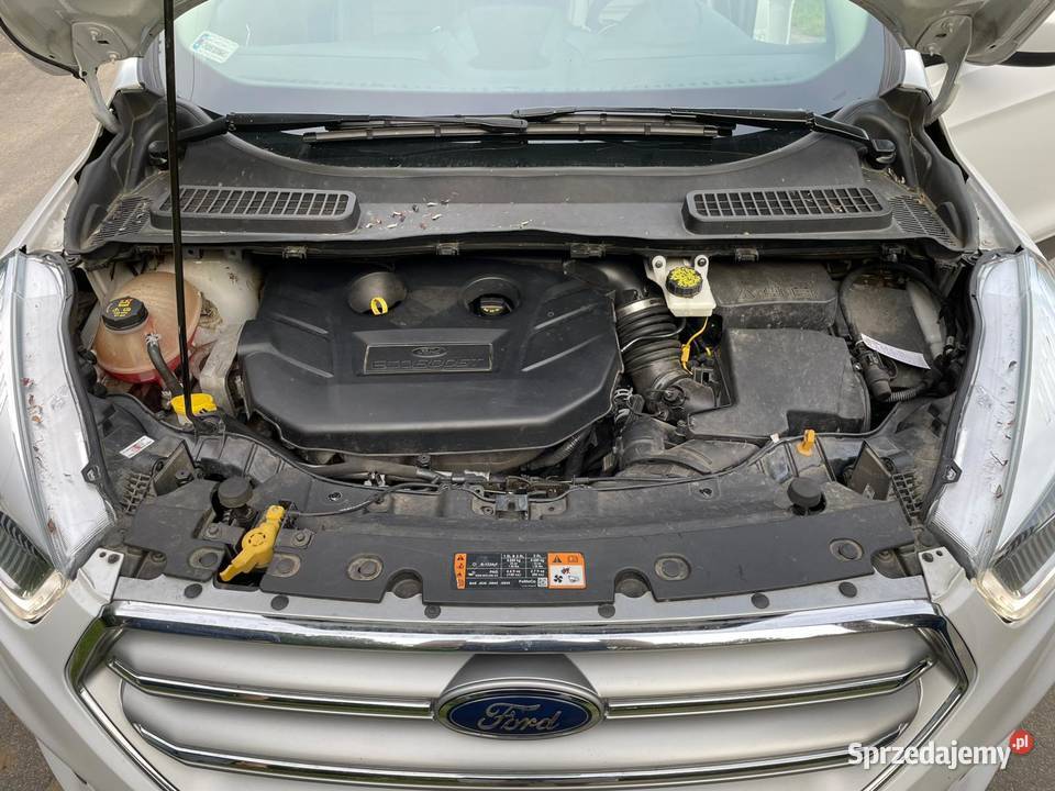 Ford Escape 20 benzyna 242 4WD 2017r 1 kujawsko-pomorskie sprzedam