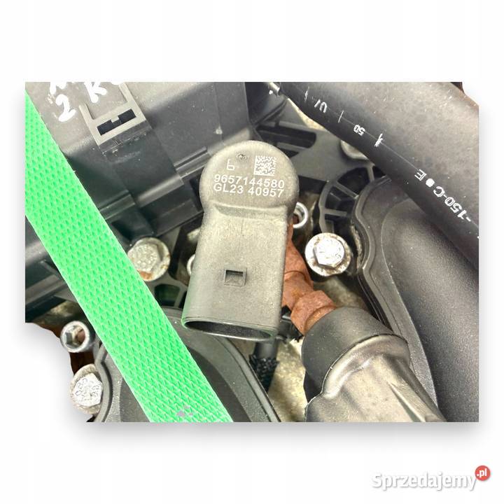 SILNIK G6DD Ford C C Focus MK2 20 TDCI 136 osobowe Chełm sprzedam