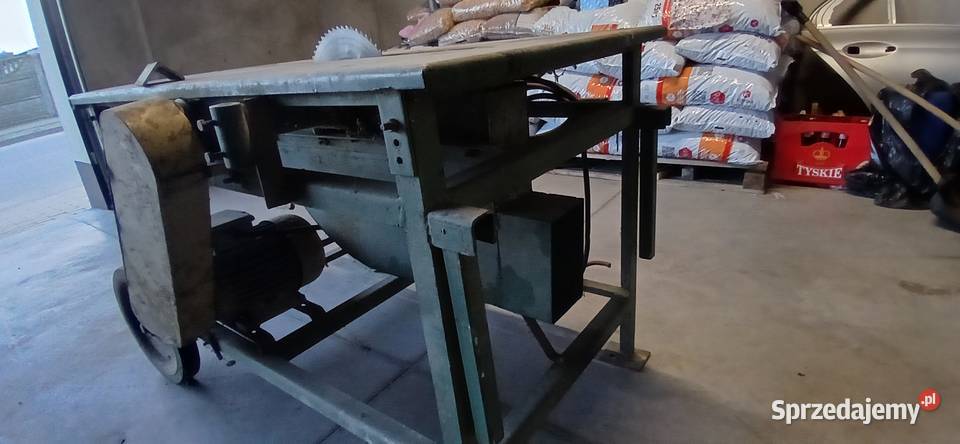 Krajzega piła stołowa Rawicz