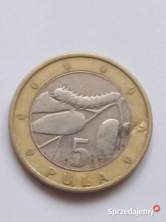 Moneta 5 Pula 2007r śląskie Dąbrowa Górnicza