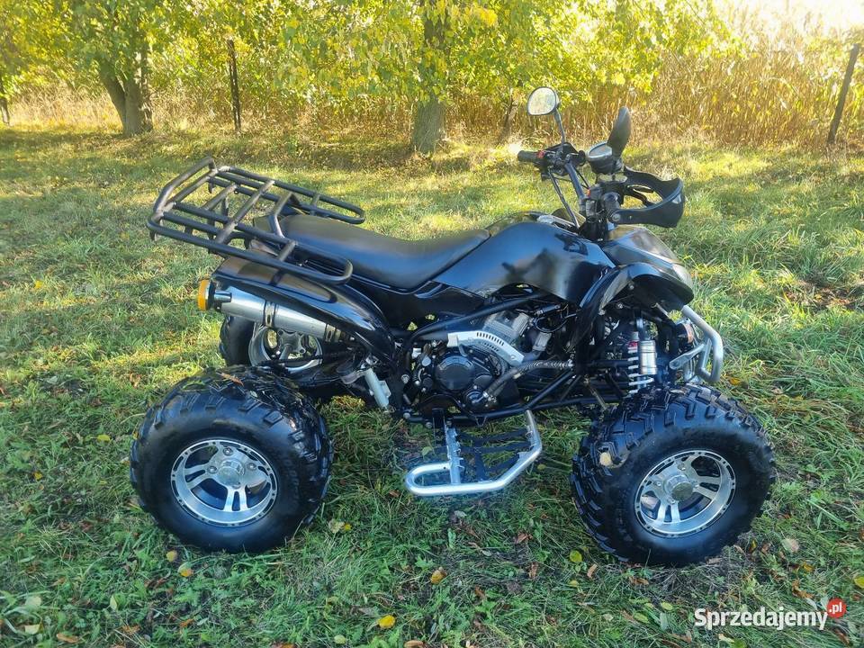 Quad Egl Lyda 250cc 41R Duża Rama Ciecz łańcuch Kruszwica
