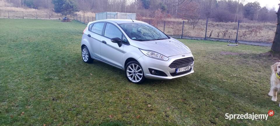 Ford Fiesta MK7 2013r Kaniów